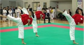 La squadra di Sound Karate durante la competizione