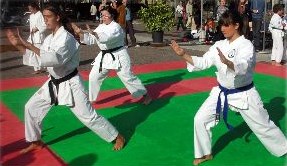 Atleti nella dimostrazione di Karate