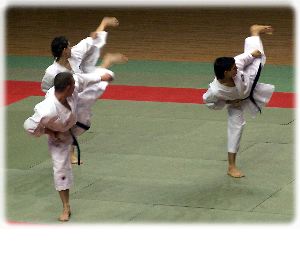 Kata Team