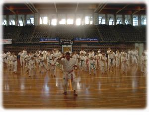 Stage Kata Wado Ryu con il Maestro Piazzola